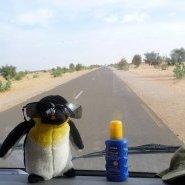 Pinguy sur la route du Mali